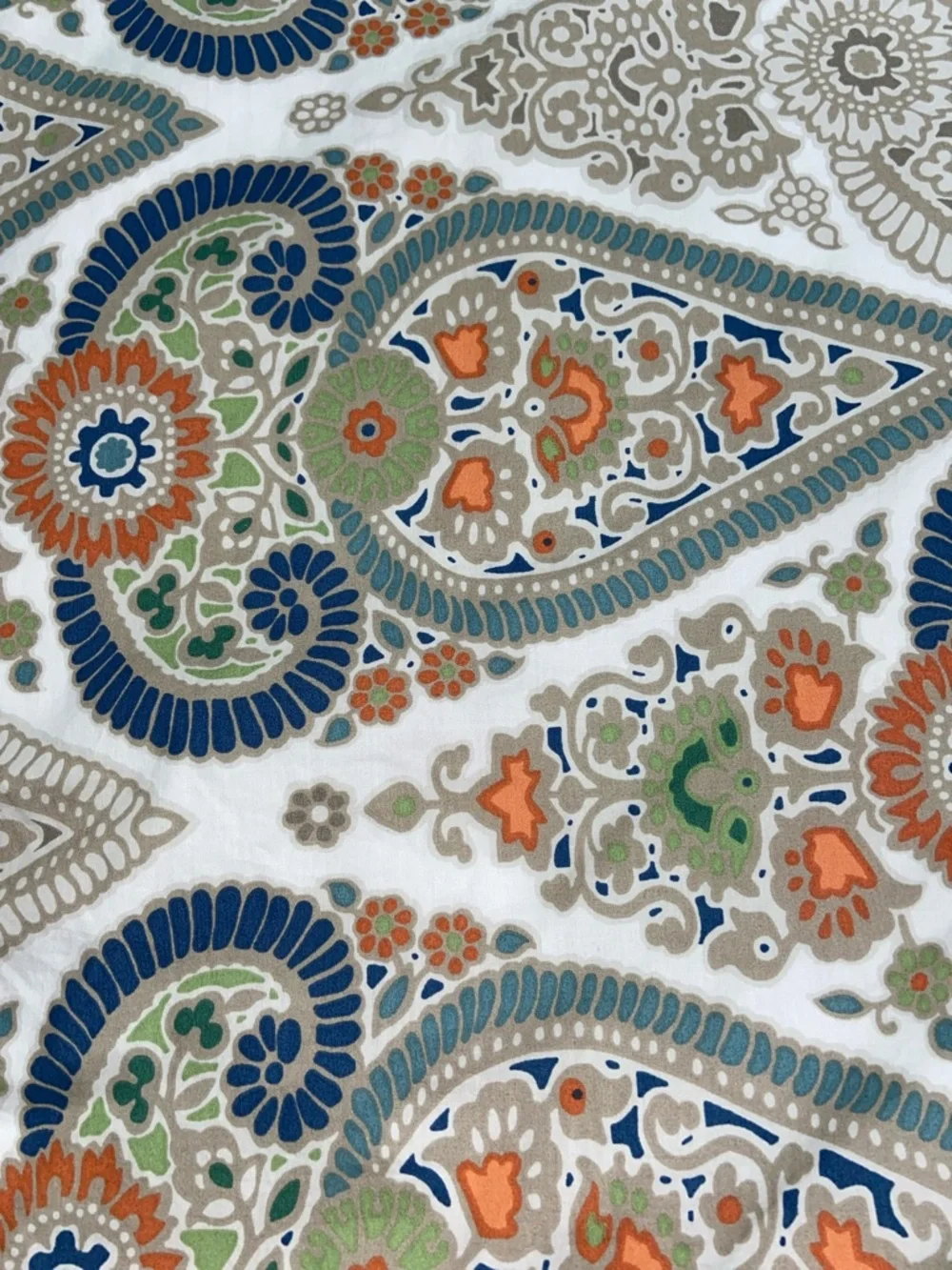Like new Pottery Barn Gisela Paisley Twin Duvet set of 2 w PB teen comforters